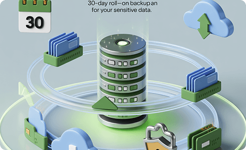 Secure Roll-on Backup Plan